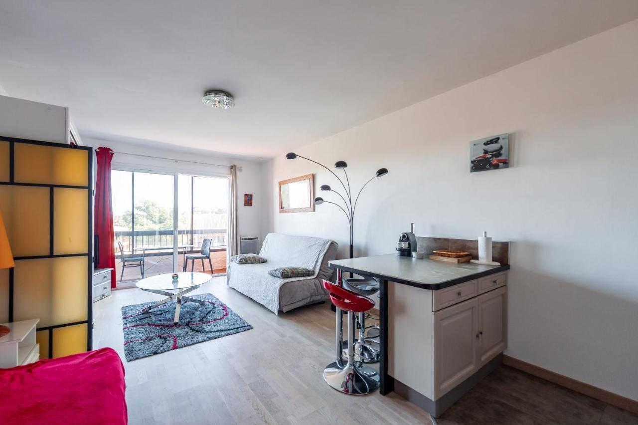 Grand Avec Piscine Presqu'ile De Giens Apartment *